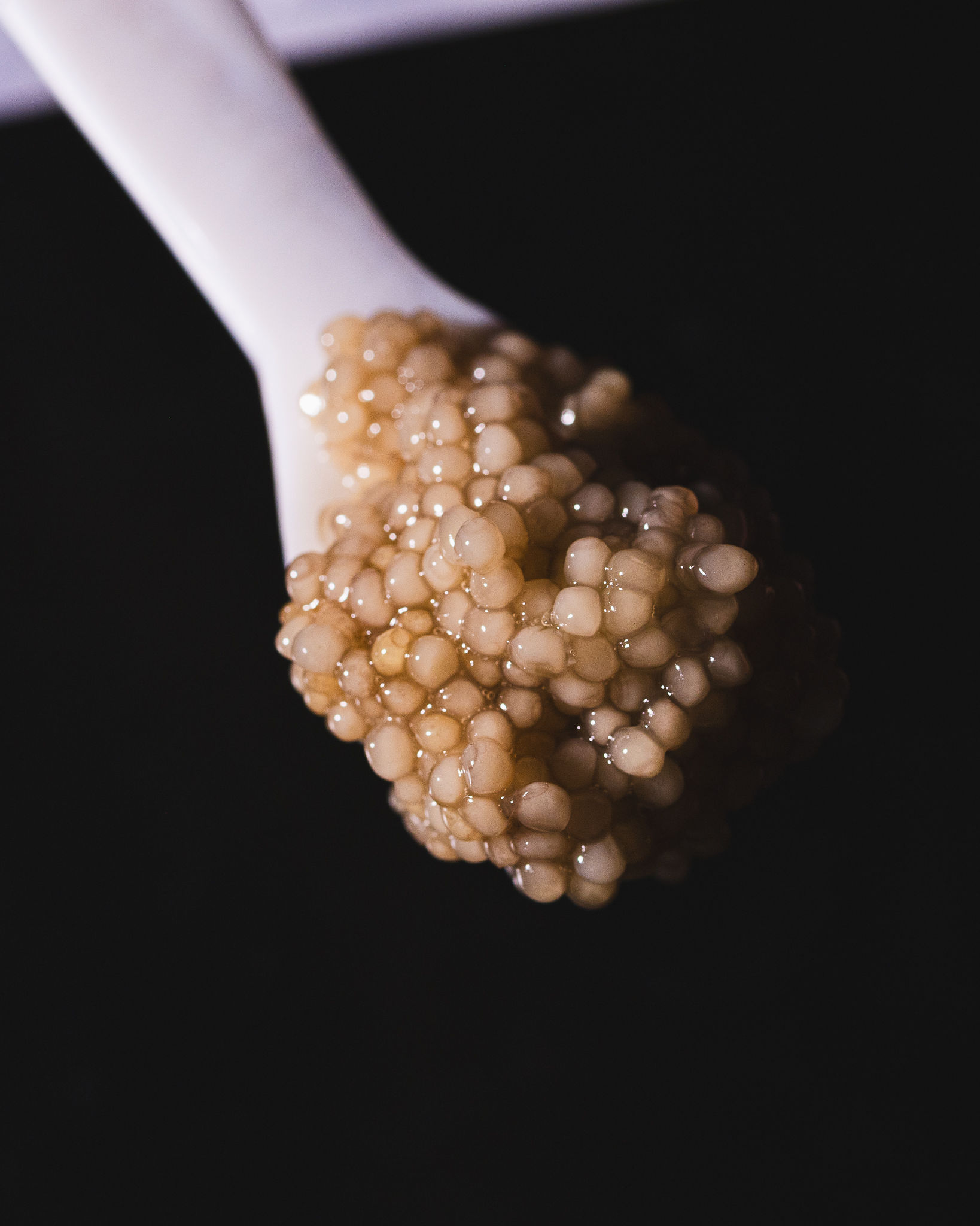 Sanaz Caviar
